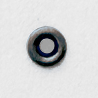 B・アンティークゴールド