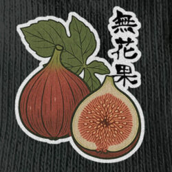 グラフィックウェア-250606<br>【無花果】