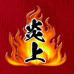 グラフィックウェア-250802<br>【炎上】