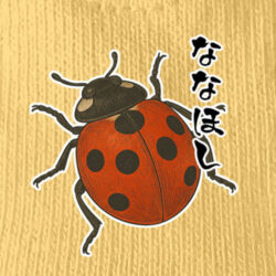 グラフィックウェア-250806<br>【ななほし】